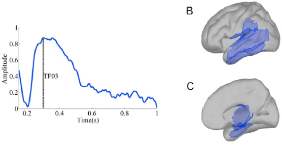 Figure 2. tsPCA results for the verbal memory task. A) Loadings for TF03. The maximum  factor loading was observed at 300 ms (vertical gray bar)