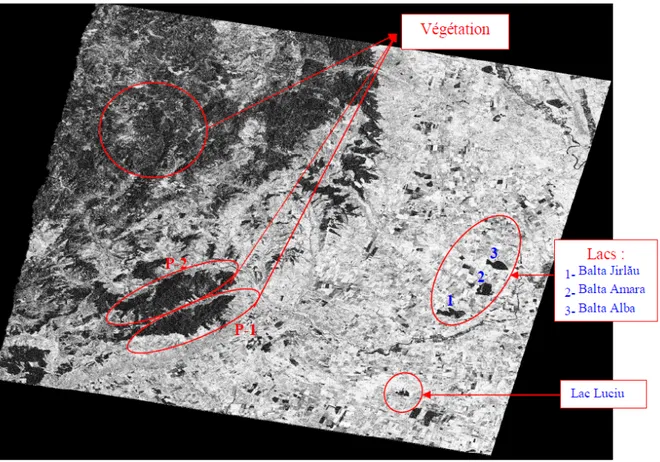 Tableau 4 – Comparaison entre les deux mesures des surfaces des trois lacs entre 1963 et 1995