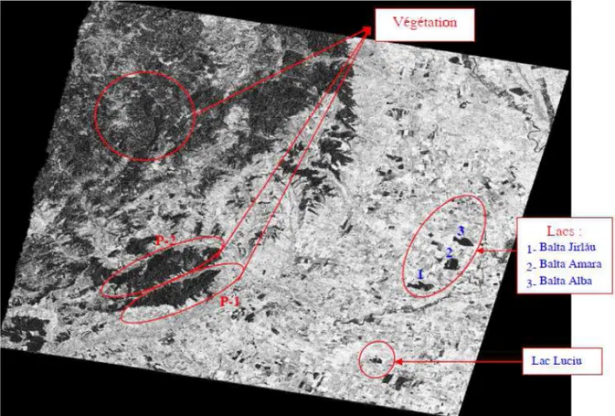 Figure 2 – Image de cohérence géoréférencée du couple tandem (28/29 mai 1995). Les lacs sont numérotés de plus proche de la ville de Buzau.