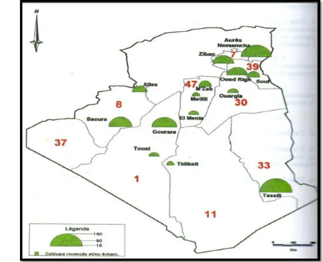 Figure 02: géographique de palmier dattier en Algérie (Gourchala, 2015) 