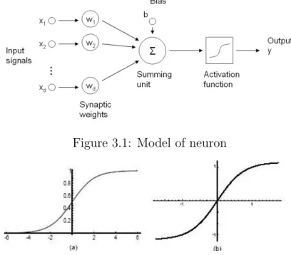 Figure 3.1: Model of neuron