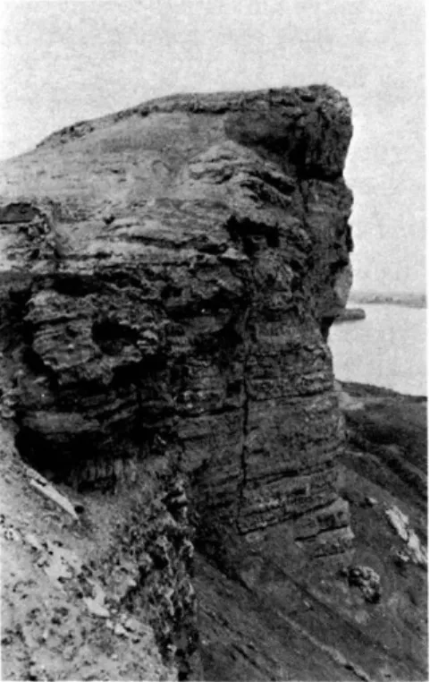 Fig. 3.  —  La  falaise sous  le  palais de  la  citadelle. 