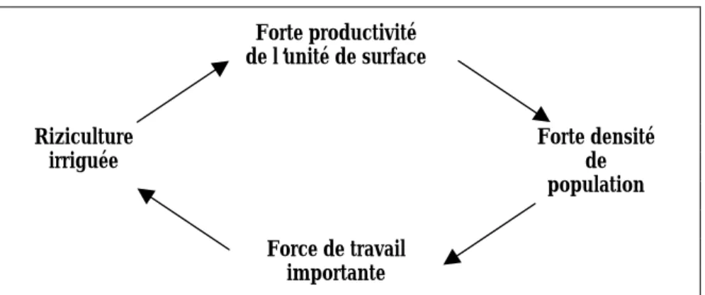 Figure 2 : Système agro-démographique de la riziculture