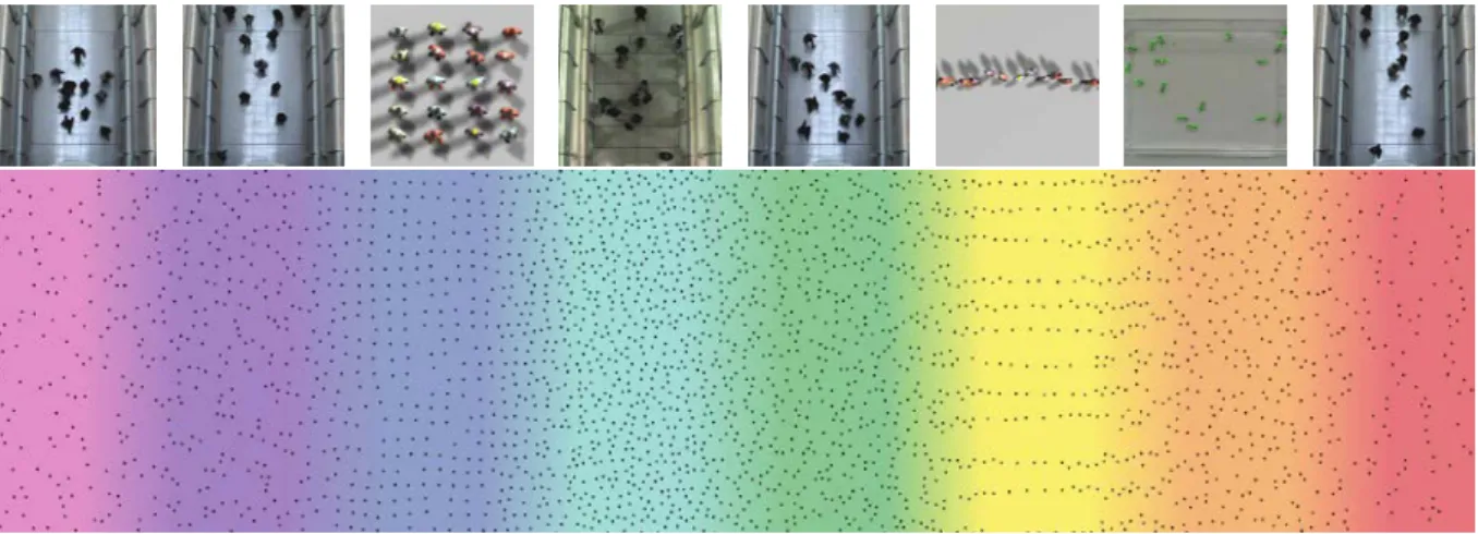 Figure 2.11 – Heterogeneous crowd obtained by interpolating between various styles [JCP + 10].