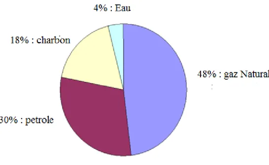 Figure I.1 : Répartition des modes de production d’hydrogène actuels [5]. 