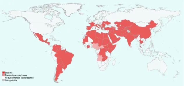 Figure 4. Status of endemicity of visceral leishmaniasis in the world in 2016  (http://apps.who.int/neglected_diseases/ntddata/leishmaniasis/leishmaniasis.html)
