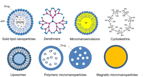 Figure 14. Different types of drug delivery system with micro and nanotechnology (adapted from  Wen et al., 2017)