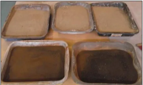 Figure 3.1 The clay (lighter colour) and alum sludge after grinding and sieving 