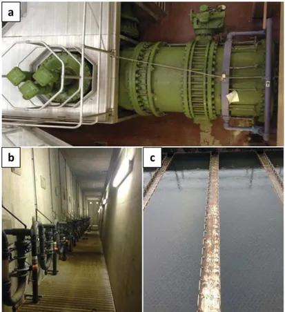 Figure 1.2 Dublin (Ireland) Ballymore Eustace Water Treatment Plant. (a). the 1600mm intake pipes  (green) and the coagulant dosing system (purple pipework); (b)