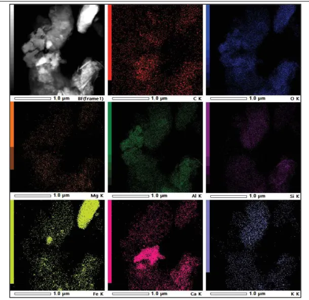 Figure 2.9 TEM-EDX images of Carmaux alum sludge