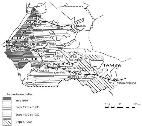 Figure 1 : Evolution du bassin arachidier du début du XX ème  siècle à la fin des années 1980 
