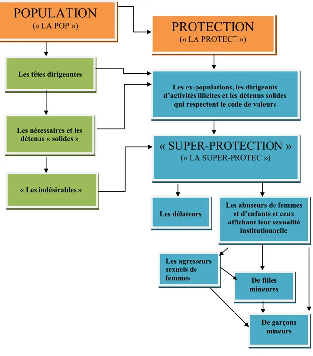 Figure 1 :   Représentations  de  la  hiérarchie  carcérale  informelle  telle  que  présentée  par  les  détenus rencontrés à l’Unité spéciale de détention 