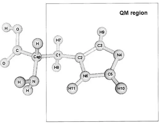 Figure 2.3. Optimized structure and numbering scheme of neutral histidine.