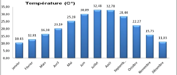 Figure N° I-03: : Histogramme des températures moyenne mensuelle (1978-2013) 