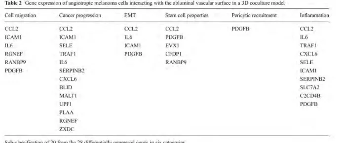 Tableau  I.1  :  Classification  des  gènes  différentiellement  exprimés  dans  les  cellules  de  mélanomes  angiotropiques