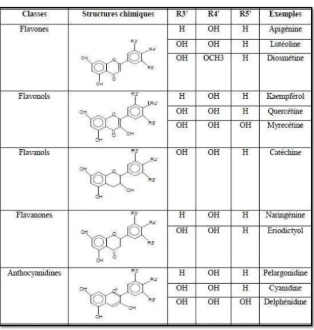 Tableau 04: Classification de certaine structure des Flavonoïdes    (BOUTERA et al., 2015)