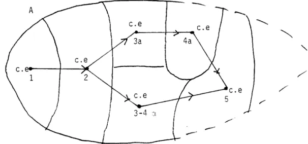 Figure  F.6.1.3 :  Aboutissement  d'une  problématique  du  rangement  c.e  3a  4a  \  /  c.e  c  /  \  /  \  5  ,  \  /  / 