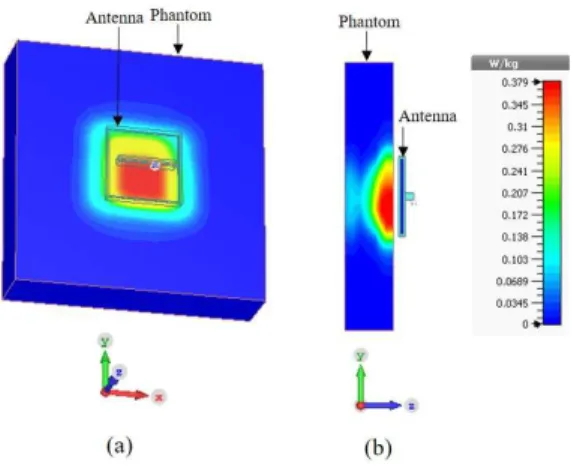 Fig. 17. SAR distribution in human-muscle-equivalent flat-phantom at 2.45 GHz: (a) 3-D view, (b) cross-sectional view.
