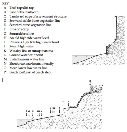 Figure 2. Sketch of the spatial relationship between many of the commonly used shoreline indicator [8]