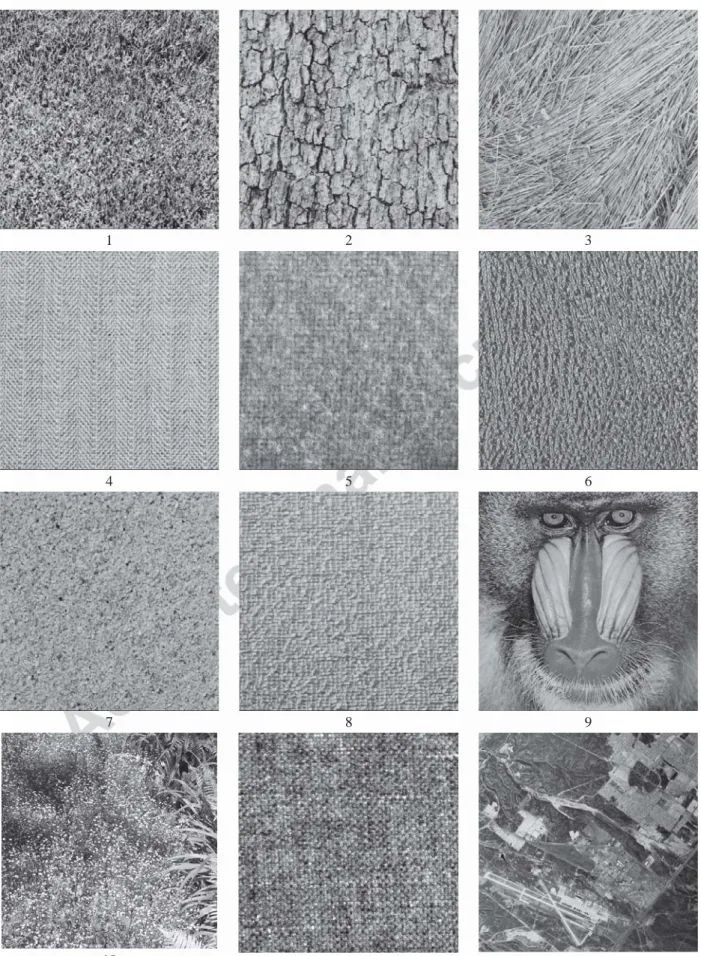 Fig. 3. Test texture images and their indices 