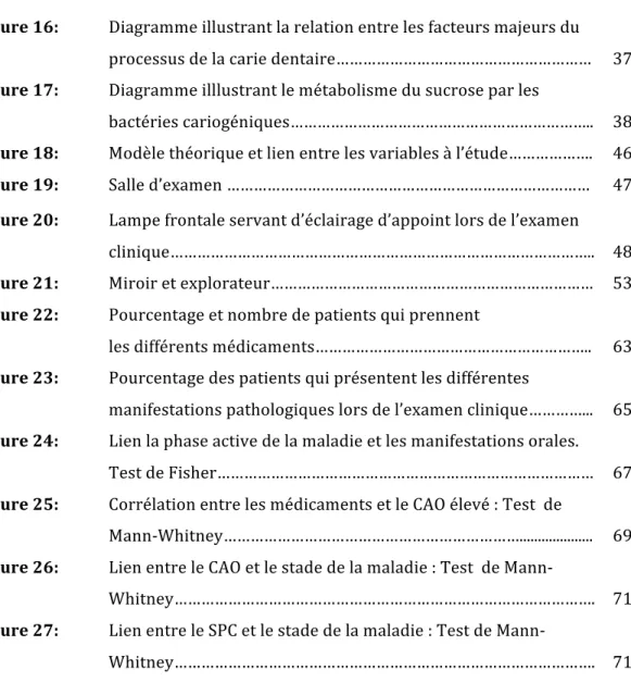 Figure 16:  Diagramme illustrant la relation entre les facteurs majeurs du  processus de la carie dentaire…………………………………………………    37  Figure 17:   Diagramme illlustrant le métabolisme du sucrose par les  bactéries cariogéniques…………………………………………………………..    38
