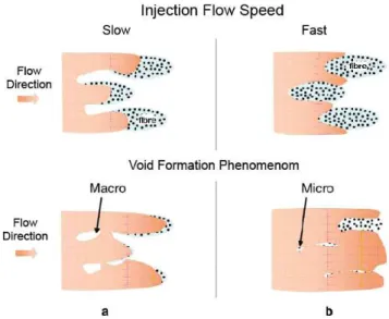 Fig. 1.   Void formation as a function of the injection flow speed. 