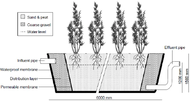 Figure  3.1  Section  view  of  the  horizontal  subsurface  flow  wetland  used  to  measure  and  model  evapotranspiration of S