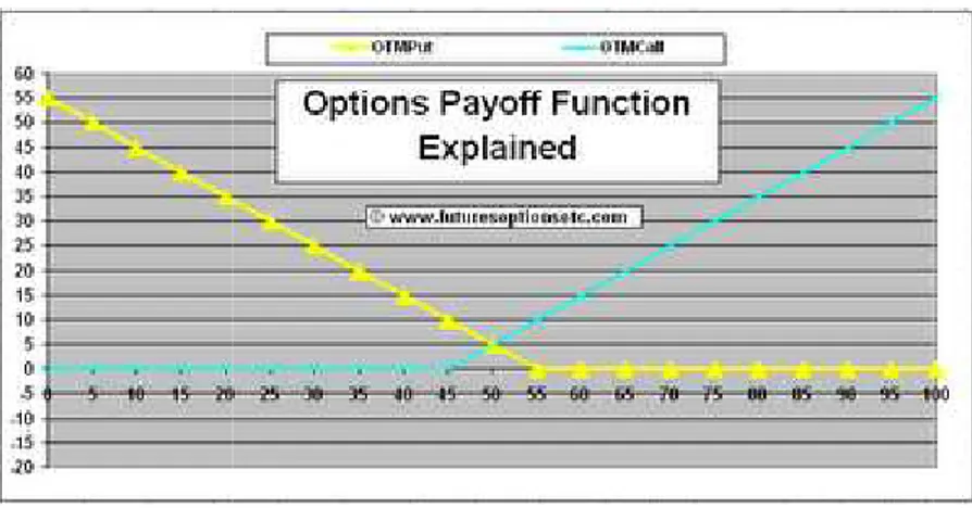 FIGURE 4 : FONCTIONS