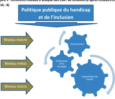 Figure 1 : Différents niveaux d’analyse des ESAT de DEMAIN (d’après COMBES-JORET,  2016 : 8) 