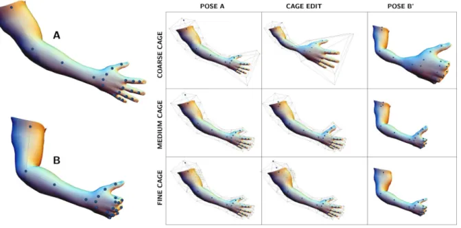 Figure 7: Our method can seamlessly combine edits defined on skeletons and cages that operate on features at different scales