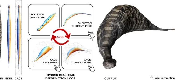 Figure 1: Given an input 3D shape equipped with its deformation skeleton and cage (left), our framework seamlessly combines both structures, merging their associated deformation spaces