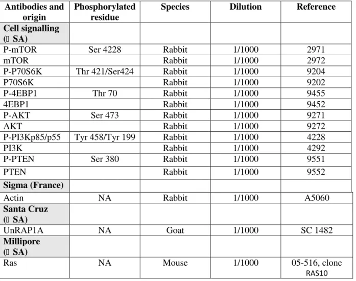 Table 1 : Primary antibodies used for cell signaling analysis  Antibodies and 