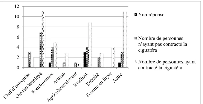 Figure 7 : Le nombre de cas intoxiqués en fonction de leur activité socioprofessionnelle 