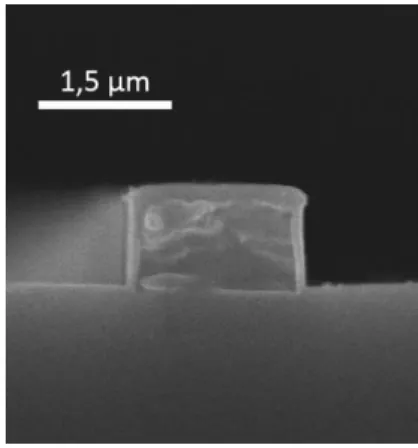 Figure 1 : Scanning electron microscope image of a PFH-A/CNT ridge waveguide cross section after  the SiO 2  protection layer deposition on the CNT-based core layer
