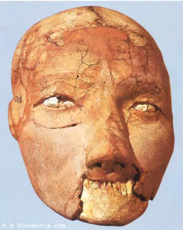Figure 11.  Crâne de Jéricho, 7 e  millénaire av. J.C. 