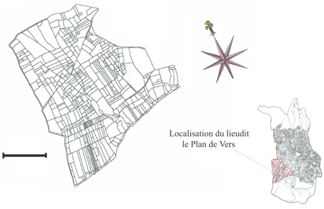 Fig. 7 . — Le Plan de Vers