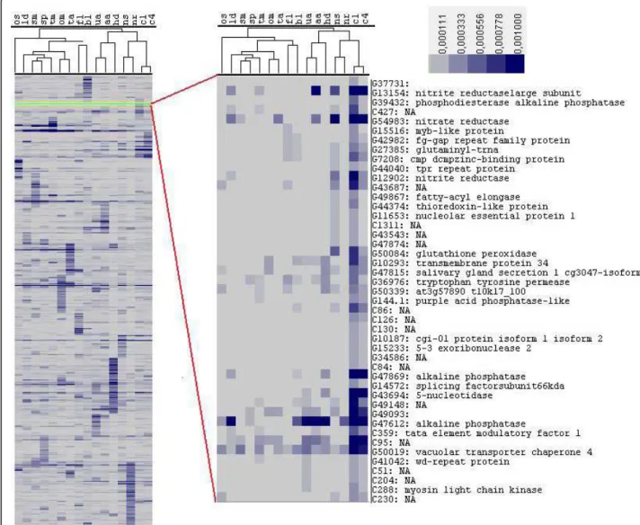 Figure 2 Hierarchical clustering showing the expression pattern of transcripts expressed more than once in any of the 16 different growth conditions