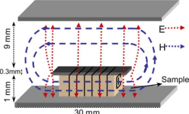 FIG. 2. Electromagnetic field pattern in the region of the line loaded by the sample to be characterized.