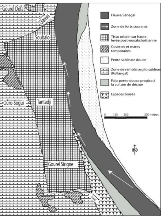 Figure 3 : Croquis géomorphologique du site du tissu urbain de Matam 
