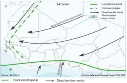 Figure 5 : Schéma de la circulation des vents thermiques  en Afrique de l’Ouest 