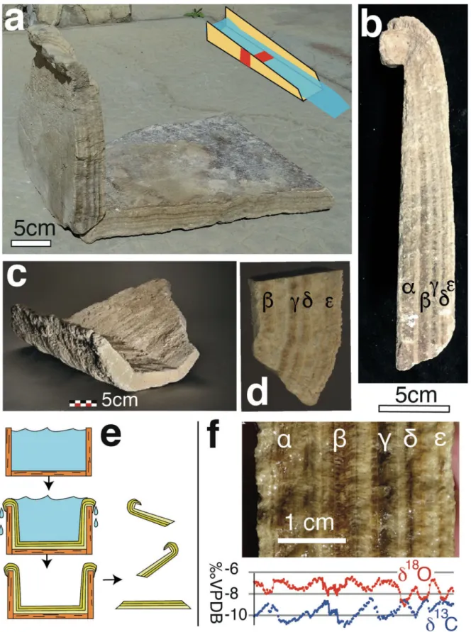 Figure 2.  Carbonate deposits formed during operation of the Barbegal watermills. Individual fragments are labelled N(-)