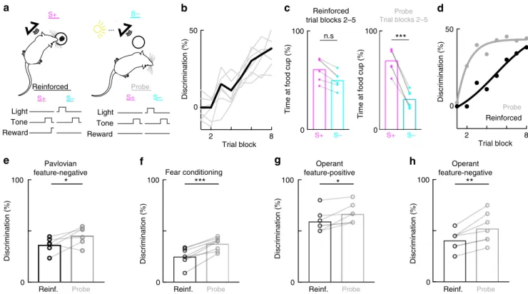Fig. 2 Dissociation of acquisition and expression generalizes to freely-moving rats. a Behavioral schematic of the discrimination task