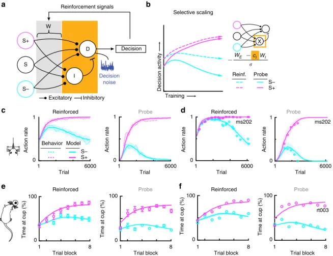 Fig. 3 Contextual scaling in a reinforcement learning model. a Schematic of the model, which implements reinforcement-driven learning of stimulus-action associations, with a readout function that can be contextually modulated