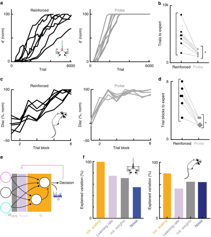 Fig. 4 Performance variance across rodents arises from contextual factors. a Left: normalized discrimination of all mice in the auditory go/no-go task over the over the course of learning ( N = 7 mice) in the reinforced context; right: same as left but in 