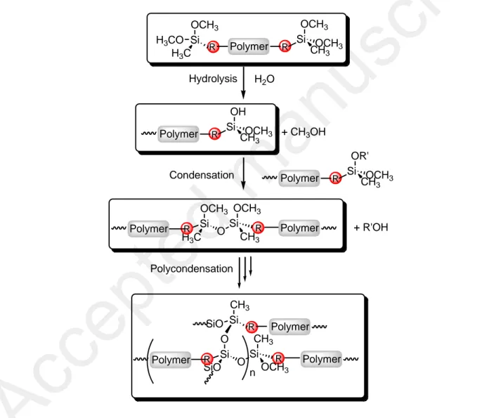 Figure 1. General scheme of hydrolysis and polycondensation reactions (R= CH 2 NHCOO or  C 3 H 6 O and R’= H or CH 3 )