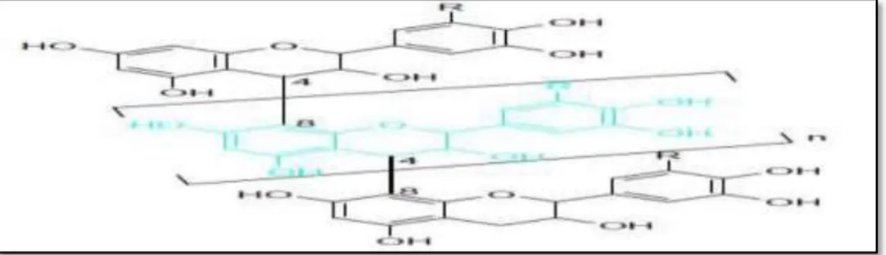 Figure 06 : Structure de base de l’isoprène (Khenaka, 2011). 