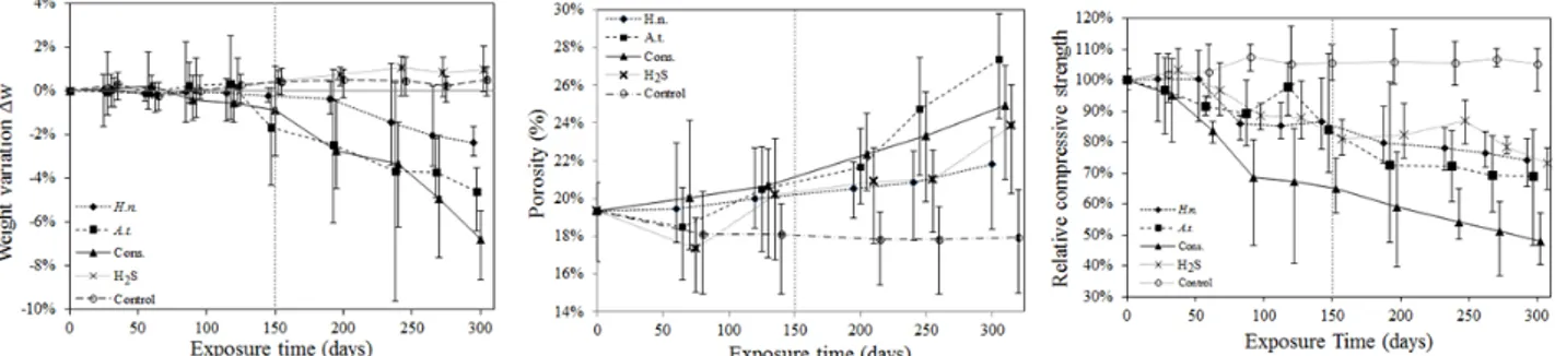 Fig. 5. Comparison between proposed curves and measured data for weight changes in carbonated samples  dried at 110°C