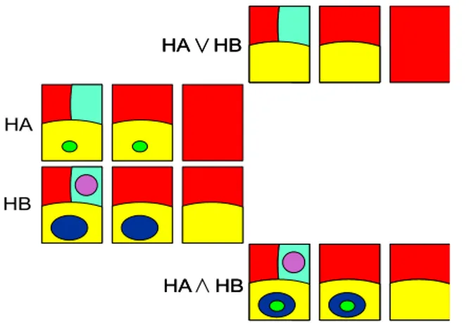 Figure 3: Two hierarchies HA and HB and their derived supremum and in…mum