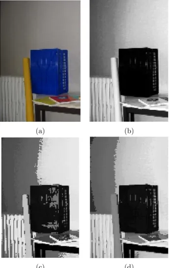Figure 10: Projection of the total order on the image support: (a) original RGB image I(p); (b) lexicographic order; (c) bit-mixing order; (d) our image adapted total order.
