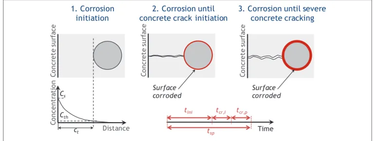 FIGURE 1 | Chloride-induced deterioration stages up to severe concrete cracking.